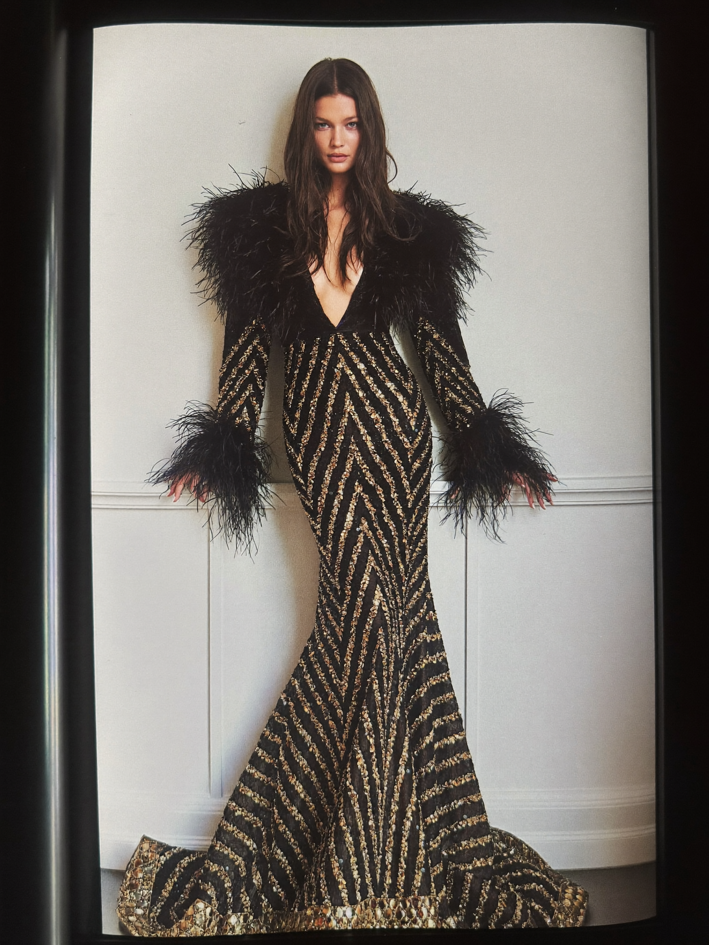 Long Sleeve V-Neck Gown