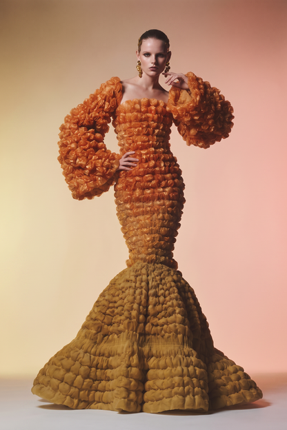 Long Sleeve Gown