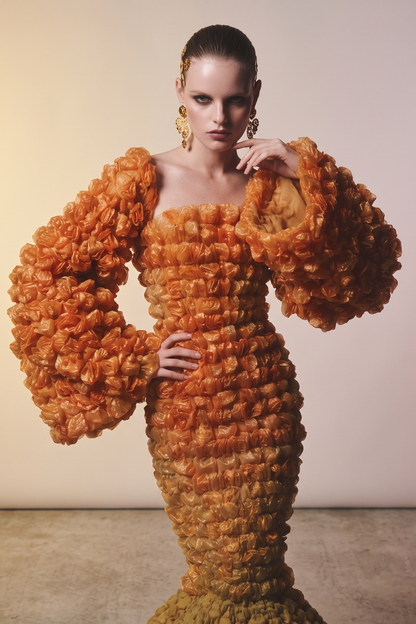Long Sleeve Gown